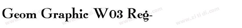 Geom Graphic W03 Reg字体转换